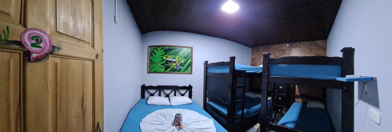 Hostel Tortuguero 7Backpackers Eksteriør bilde