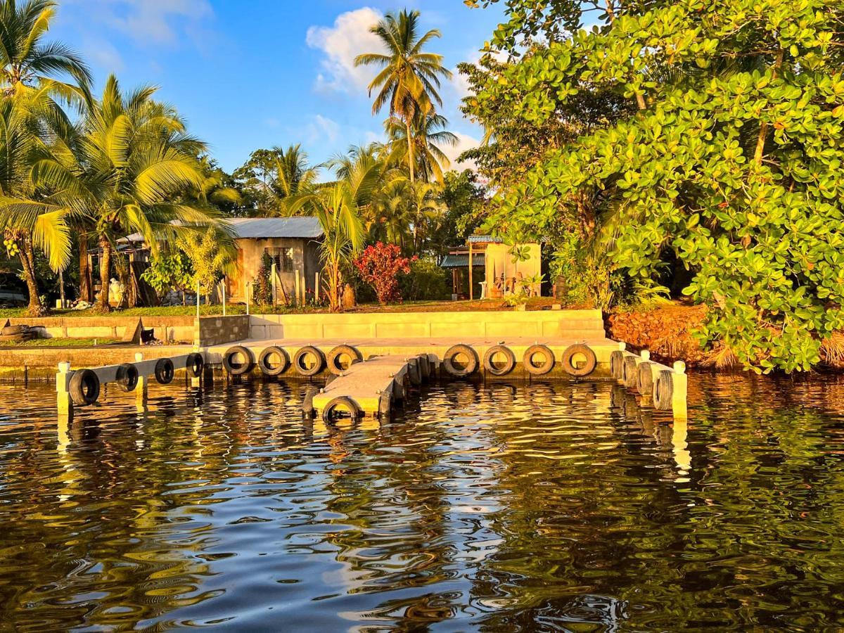 Hostel Tortuguero 7Backpackers Eksteriør bilde