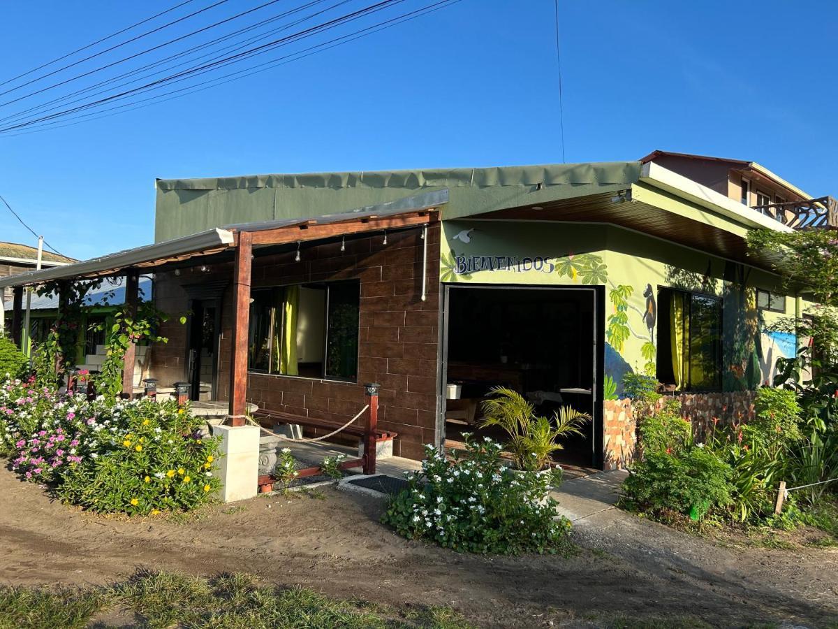 Hostel Tortuguero 7Backpackers Eksteriør bilde