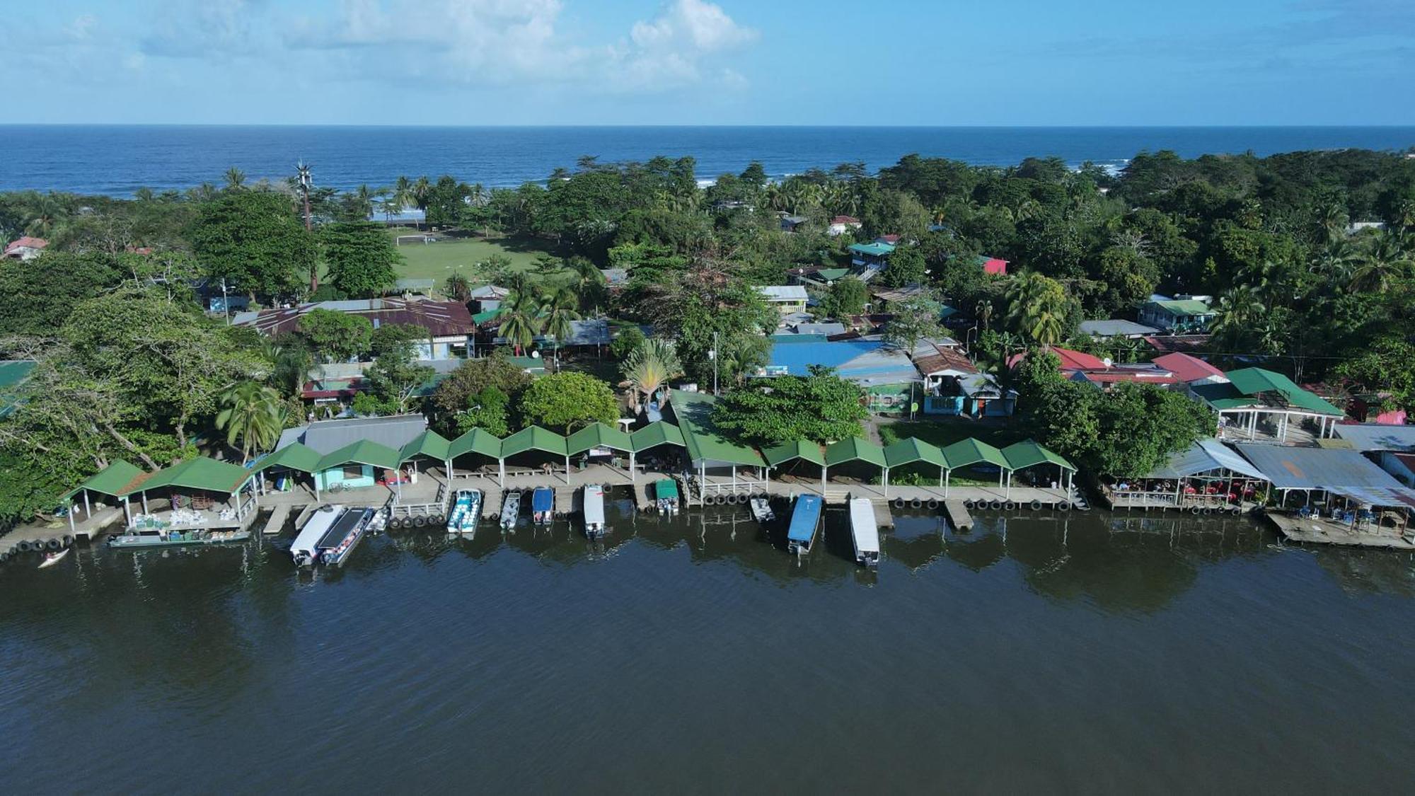 Hostel Tortuguero 7Backpackers Eksteriør bilde