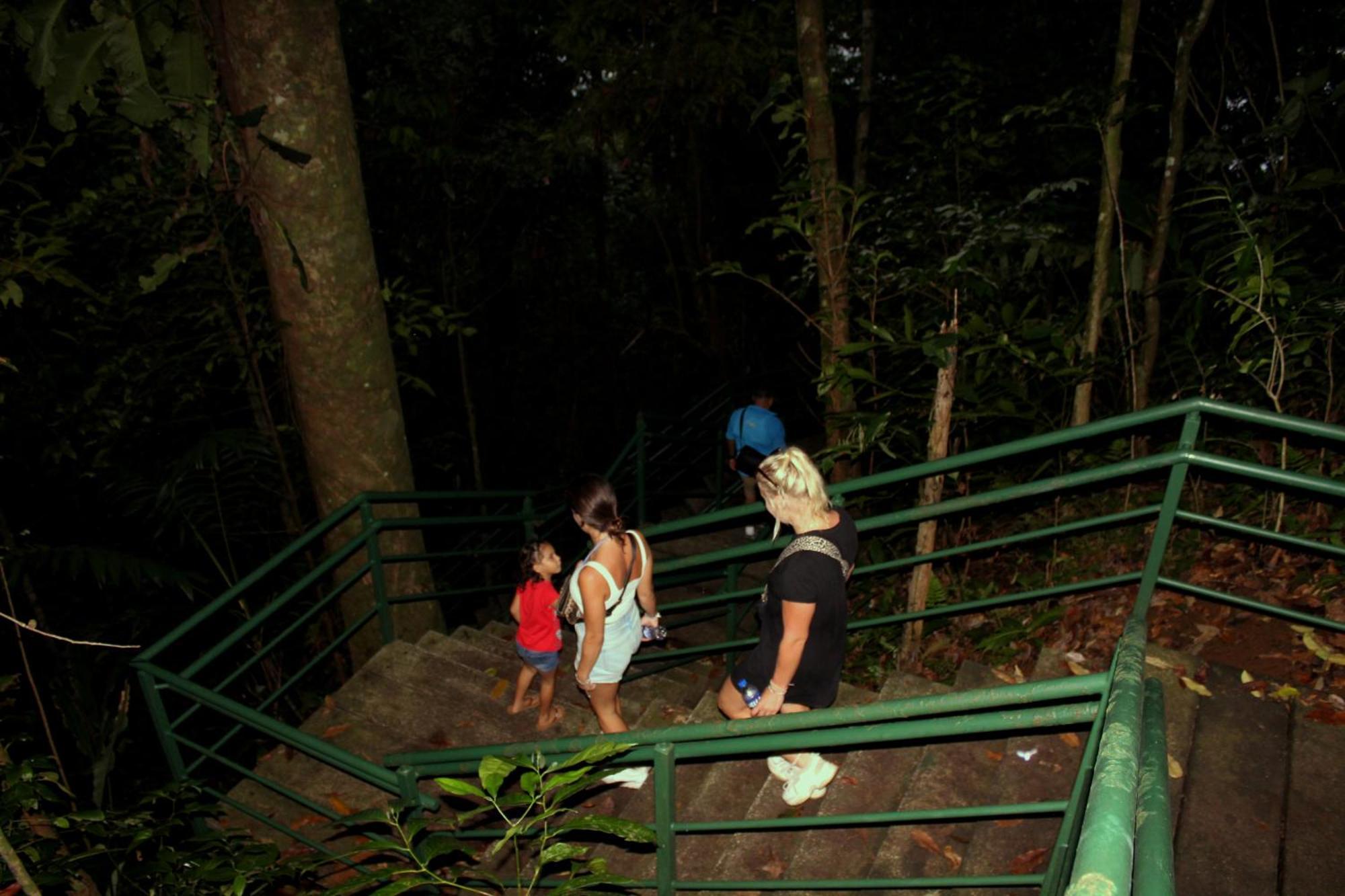 Hostel Tortuguero 7Backpackers Eksteriør bilde